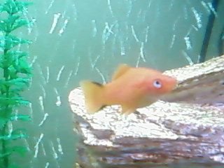 SP_A0219.jpg