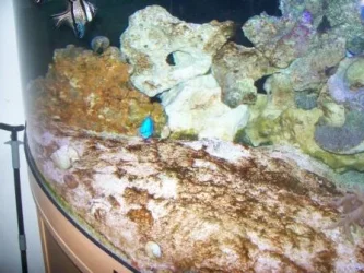 100_0297.webp