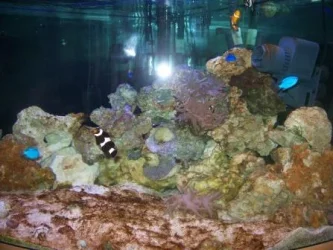 100_0299.webp