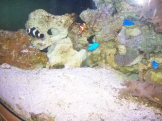 100_0304.webp