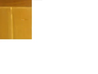 111.webp