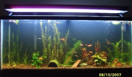 new_light_2_on.webp