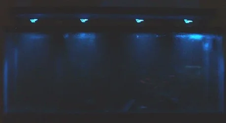new_light_led_lights_on.webp