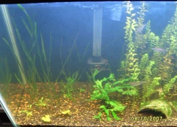 55g_left_side_8_10_07.webp