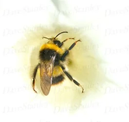 PICT0034_a.webp
