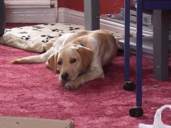 oscar_aug_07.webp