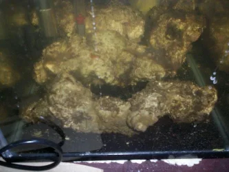 image2.webp