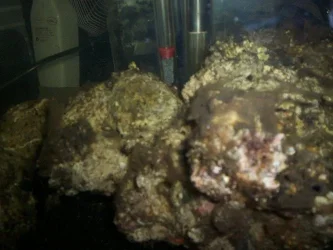 image3.webp