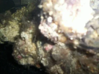 image5.webp