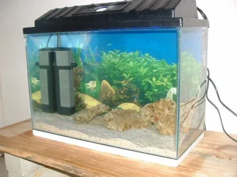 sea.webp