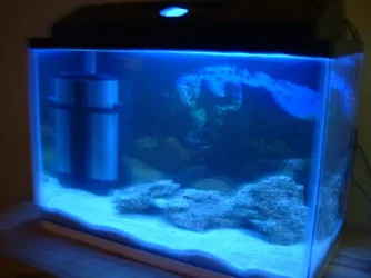 sea_blue.webp