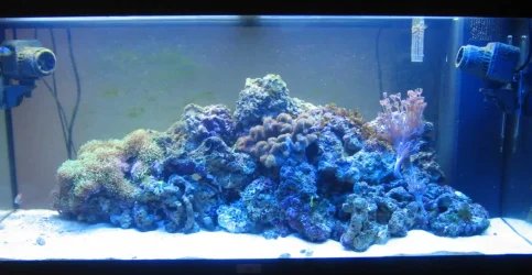 tank_004.webp