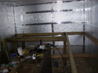 fishroom_2.webp