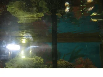 112.webp