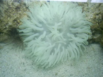 S4020428.webp