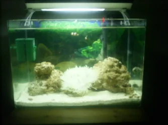 S4020436.webp