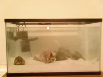 sswtank.webp sswtank.webp