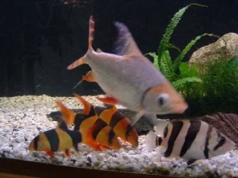 09.06.04_pic_4.webp