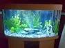 small_tank_pic.webp