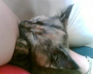 012__2__small.webp