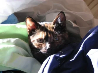 jessie_2_small.webp