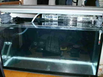 Front.webp
