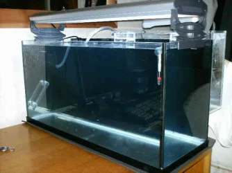 Tank.webp