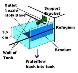 Box.webp