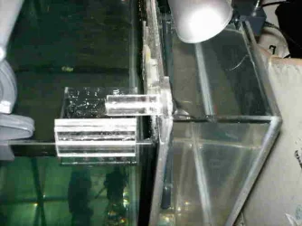 Side_Carbon.webp