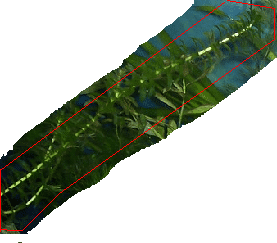 jjj_.PNG