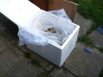 LR_Box.webp