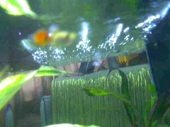 Picture_81.jpg Picture_81.jpg