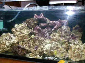 Tank_now_1.webp