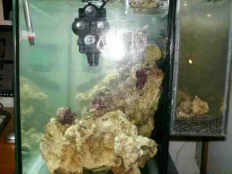 Tank_now_3.webp