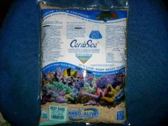 Live_sand.webp
