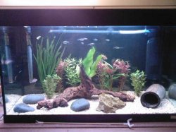 Tank_161007.jpg Tank_161007.jpg
