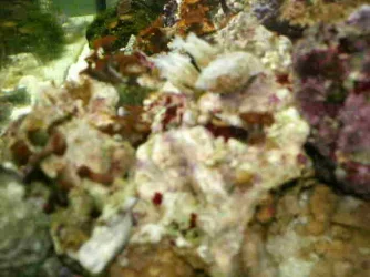 Zoo__z_3.webp