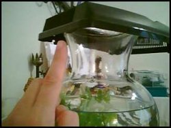 Tank.jpeg Tank.jpeg