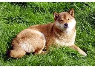 teru.webp