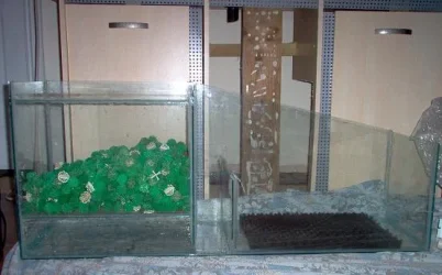 sump1.webp