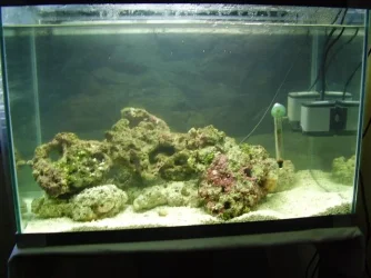 Fulltank.webp