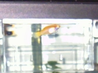 PICT0002_2.jpg
