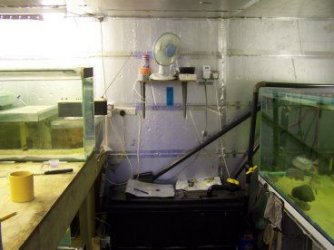 fish_house_1.jpg fish_house_1.jpg