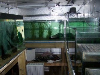 fish_house_2.jpg fish_house_2.jpg