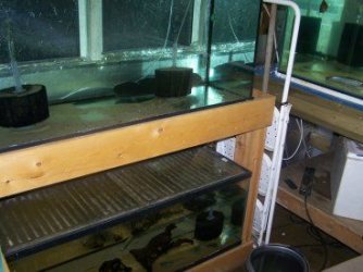 fish_house_3.jpg fish_house_3.jpg