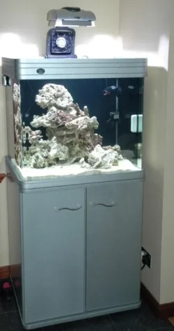 fishtank_060.webp fishtank_060.webp