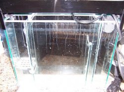 Picture_003.jpg