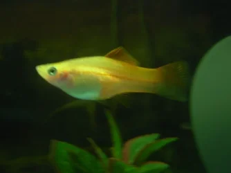DSCN1328.webp