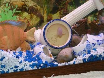 Picture_004.webp
