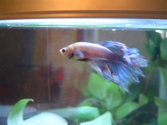 DSC05857.JPG DSC05857.JPG